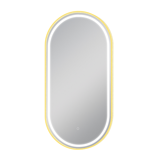 Brushed Gold Oval Framed LED Mirror | 500X1000MM